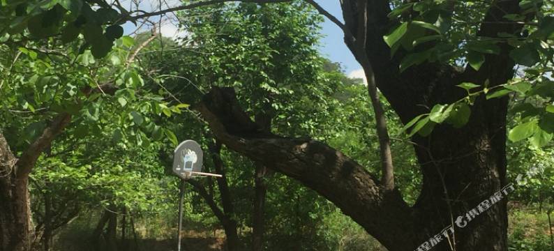 北京十三陵金红果园山庄图片