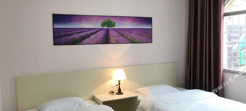 来宾艾乐时尚酒店图片