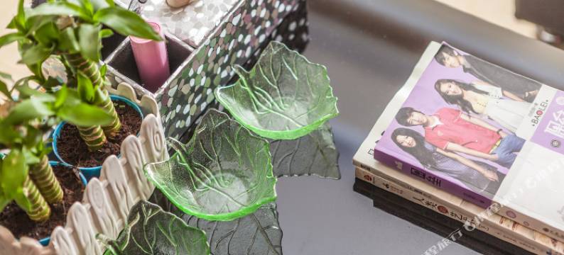 西安大唐芙蓉园/海洋馆/大雁塔观景三居室公寓(神奇动物在哪里极地馆分店)图片