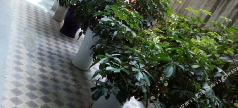 黔南州贵定宜居商务宾馆图片