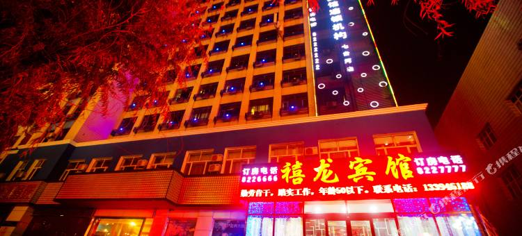 禧龙宾馆(七台河步行街店)图片