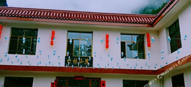 两当竹林小院客栈图片
