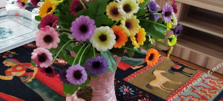 青岛向阳花短租公寓图片