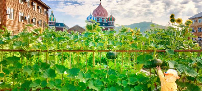 额尔古纳中俄临彼青年旅舍图片