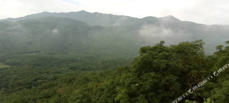 琼中黎母山森林公园度假公寓图片
