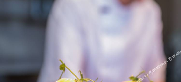 皇后镇卓越公园温德姆花园酒店(Wyndham Garden Remarkables Park Queenstown)图片