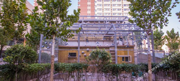 罗曼臻选酒店(银川建发大阅城店)图片