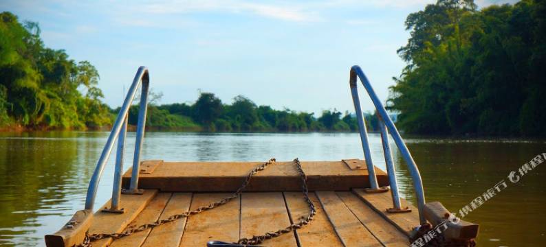 森林小屋(Forest Floor Lodge)图片