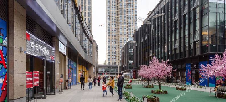 del1成都鸣鸟民宿图片