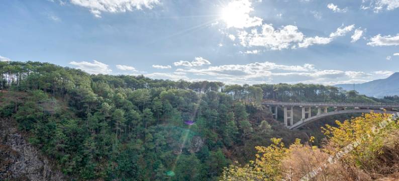 腾冲银杏村本才特景农家乐客栈图片