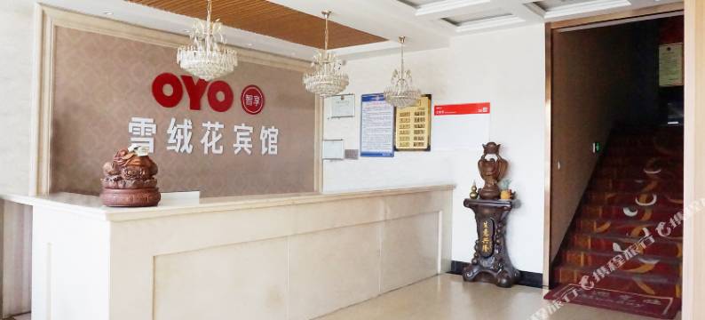 蔚县雪绒花宾馆图片