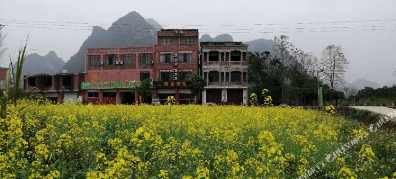 大新腾盛酒楼农家乐图片