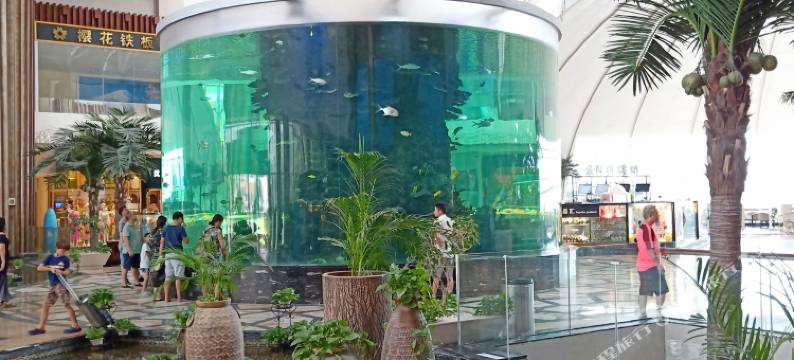 惠州碧桂园十里银滩梦之旅度假公寓(惠州海边十里银滩分店)图片