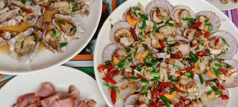 日照龙合渔家图片