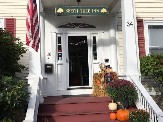 Beech Tree Inn And Cottage Hotel Reviews And Room Rates Trip Com