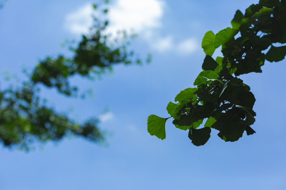 Renshou Heilongtan Yunna Resort Hotel Over view