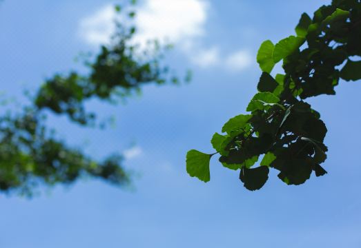 Renshou Heilongtan Yunna Resort Hotel Hotel Overview