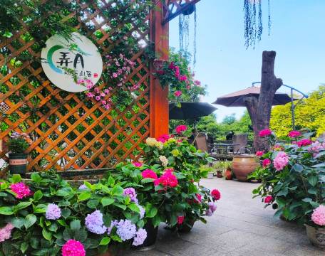 弄月峨眉山居民宿