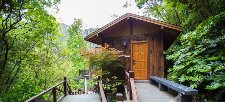 宁海森林温泉度假村图片