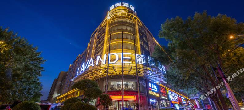 麗枫酒店(天津滨海开发区MSD第三大街店)图片