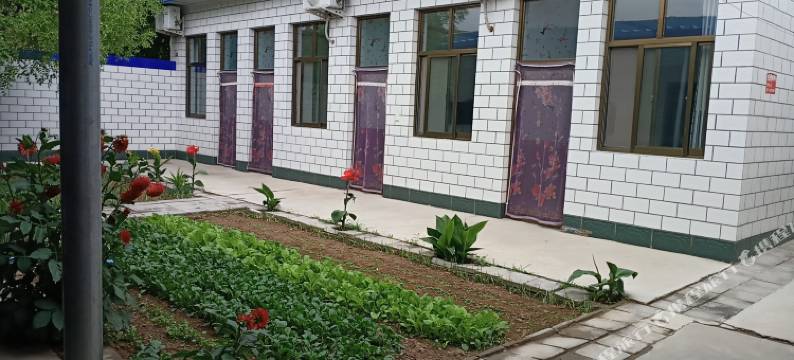 中卫聚来客农庄图片