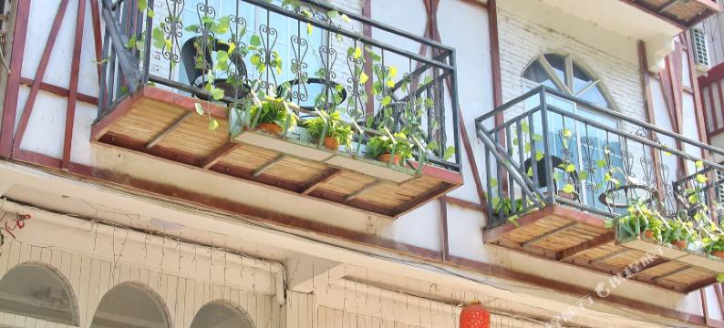 阳朔蓝莲花酒店图片