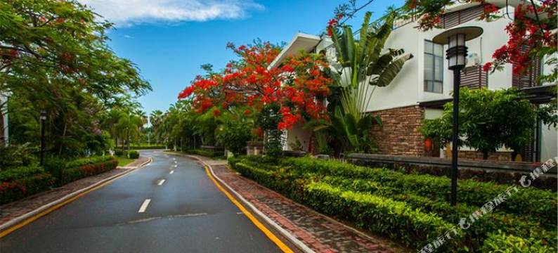 重庆中中元度假别墅图片