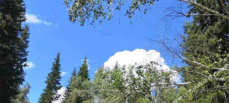 伊宁湘疆客栈(六星街店)图片