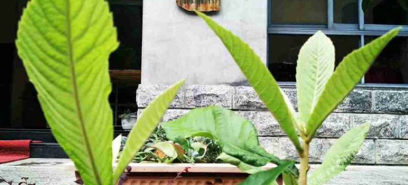 遂昌聚丰楼农家乐图片