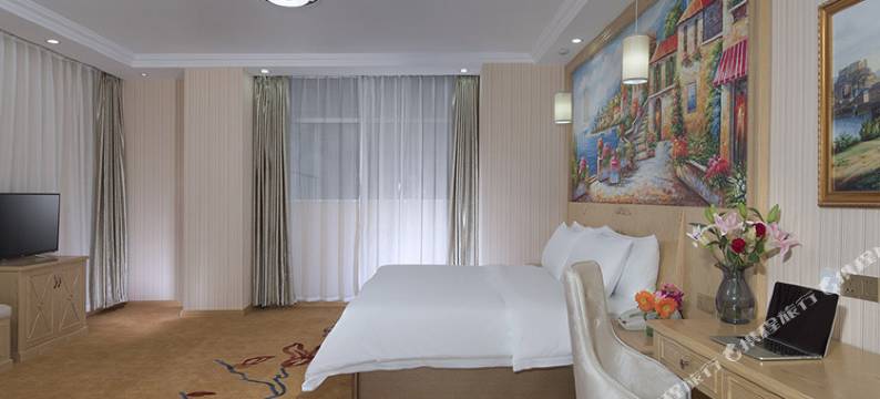 维也纳酒店(济南泉城路大明湖店)图片