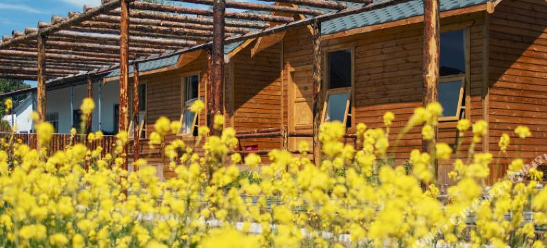 昭苏马厩里民宿·Mewsinn｜萌宠咖啡·度假院子图片