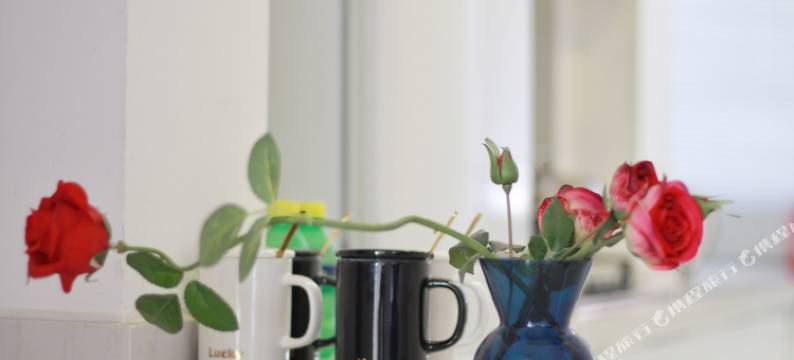 上海蔚蓝•海岸公寓(西街村分店)图片