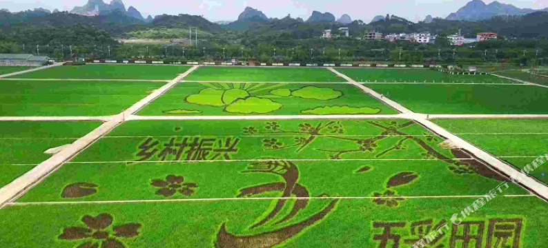 玉林荷塘月色客栈(茂林五彩田园景区店)图片