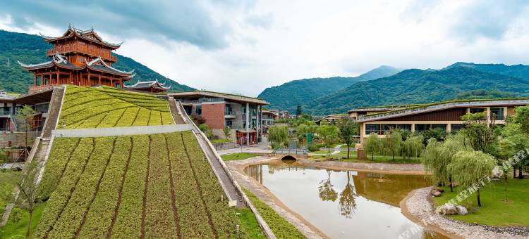 乐山峨眉山醉木溪精品民宿图片