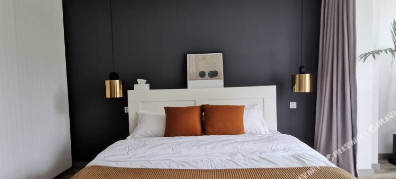 上海令狐先生公寓(3号店)图片