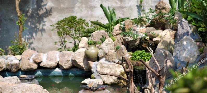 天台月园民宿图片