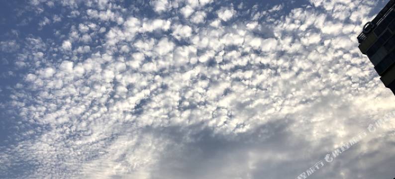 兜住公寓(上海川沙地铁站店)图片