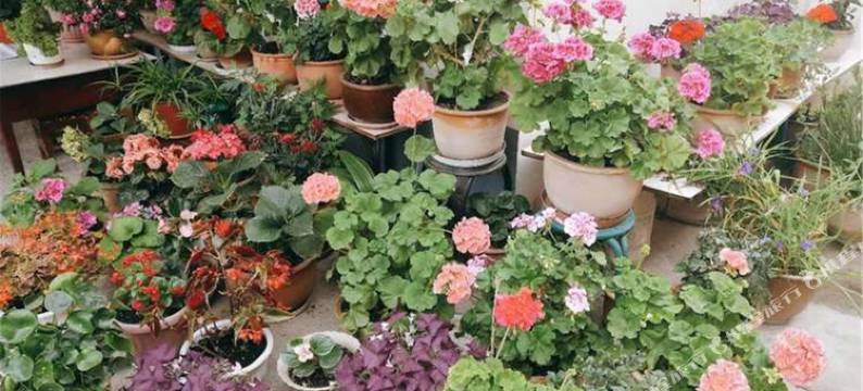 那拉提荣强农家乐图片