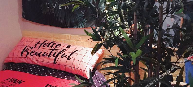 北京胡同里的小院民宿图片