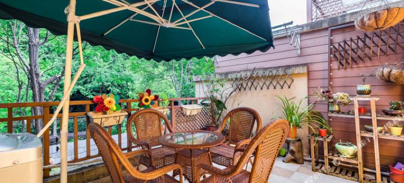 成都贰叁度假别墅(3号店)图片