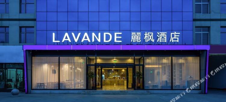麗枫酒店(廊坊香河店)图片