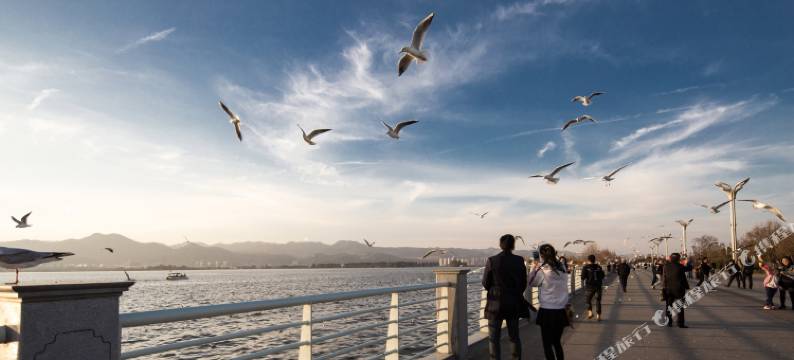 昆明滇池阳光客栈图片