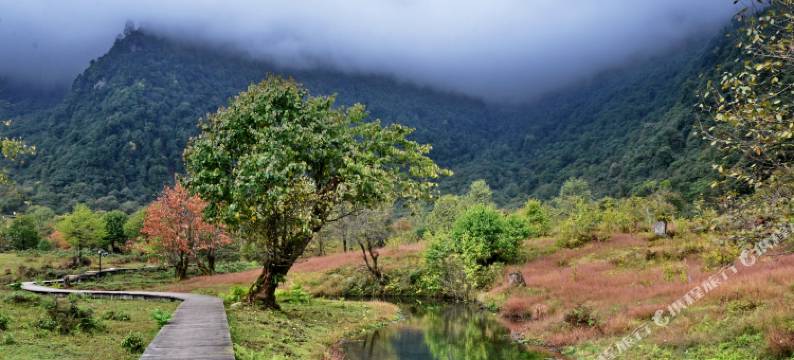 峨边禅驿·度假民宿图片
