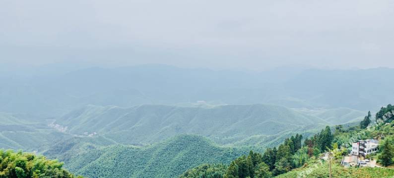 莫干山山中来信·从前慢民宿图片