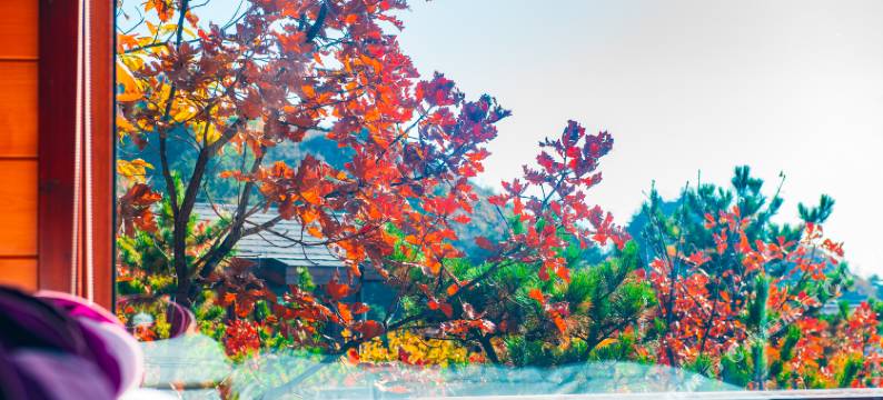 云峰山童话树屋图片