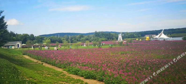 承德鑫通上城休闲主题公寓图片