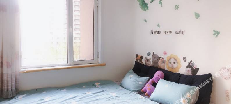 呼和浩特口袋里的猫公寓(5号店)图片