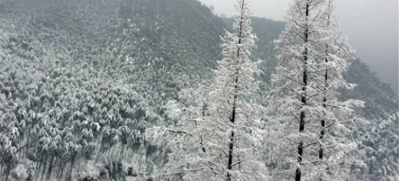 湖州竹源民宿(竹海滑车-入口分店)图片