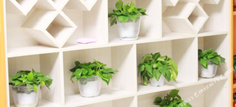 倾城商务宾馆(兰州中川机场店)图片