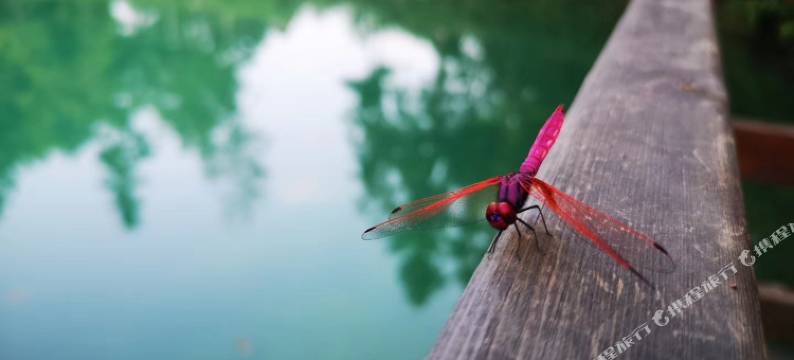 重庆漫时光乡村度假客栈图片